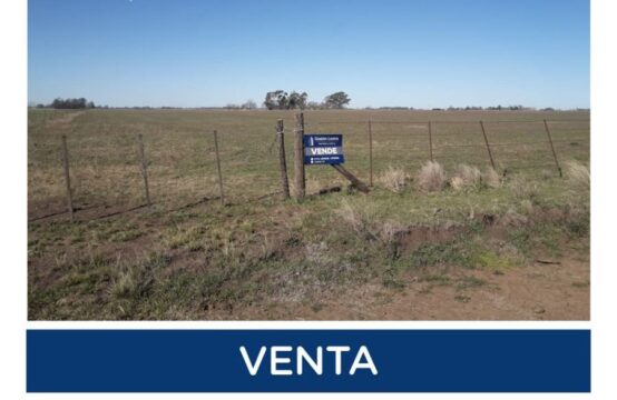 CAMPO EN VENTA &#8211; A 5 Kms. de Coronel Suárez