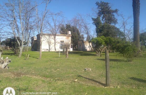 CAMPO MUY BIEN UBICADO EN VENTA &#8211; 100 Has. a 20 Km de Cnel. Suárez