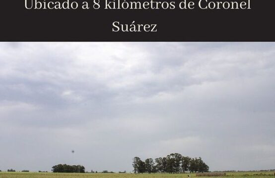 LOTE DE 6 HAS. EN VENTA &#8211; A 8 km. de Coronel Suárez (y a 1 km. de RP85)