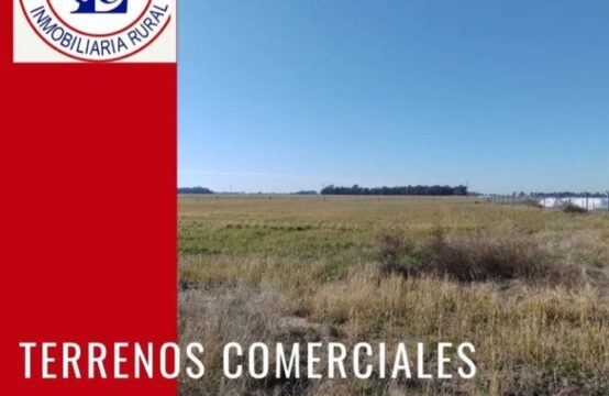 TERRENOS COMERCIALES EN VENTA &#8211; Sobre ruta N°85