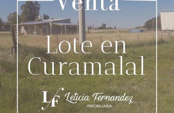 LOTE EN VENTA &#8211; Curamalal