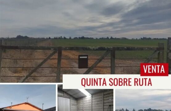 QUINTA SOBRE 14 HAS. EN VENTA &#8211; Av. Alemanes del Volga (entre San José y Santa María)