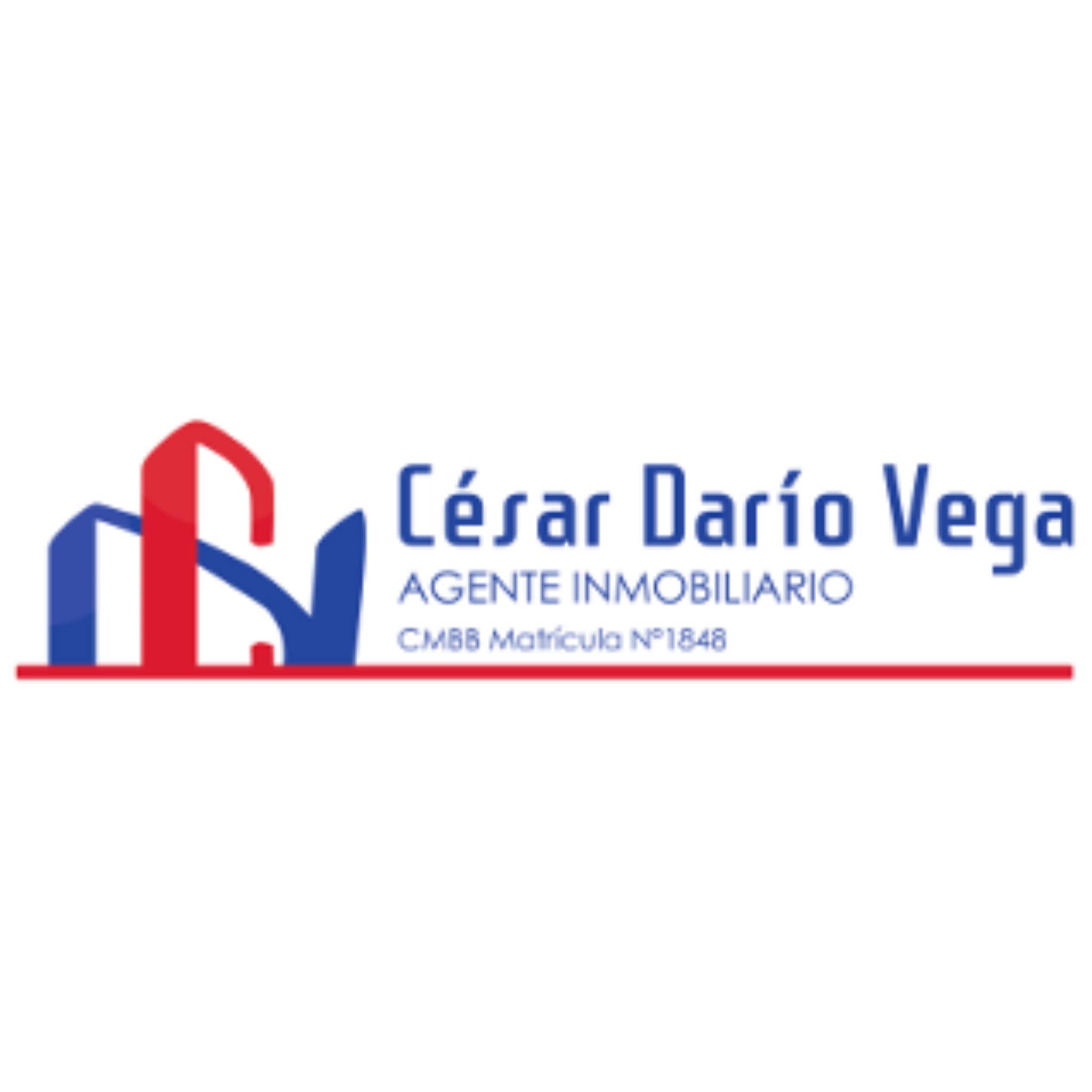 Vega Inmobiliaria