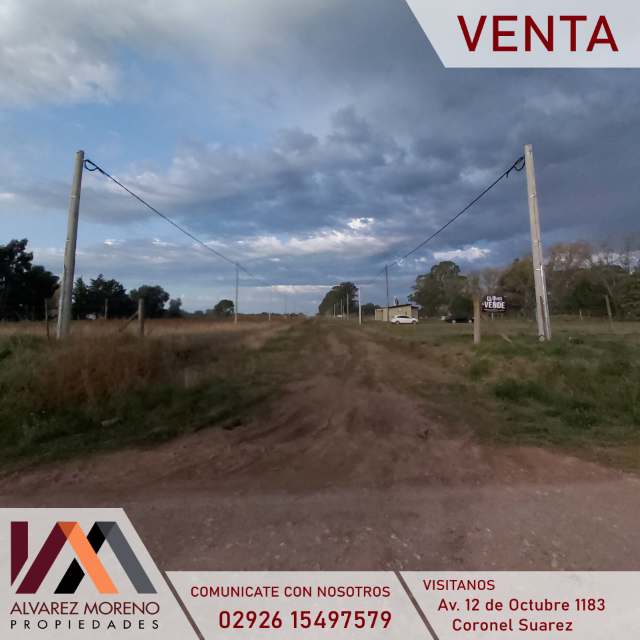 Lote Zona Quintas Consulado