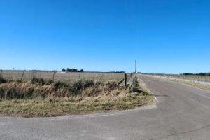 CAMPO en venta de 34,5 has Coronel Suárez